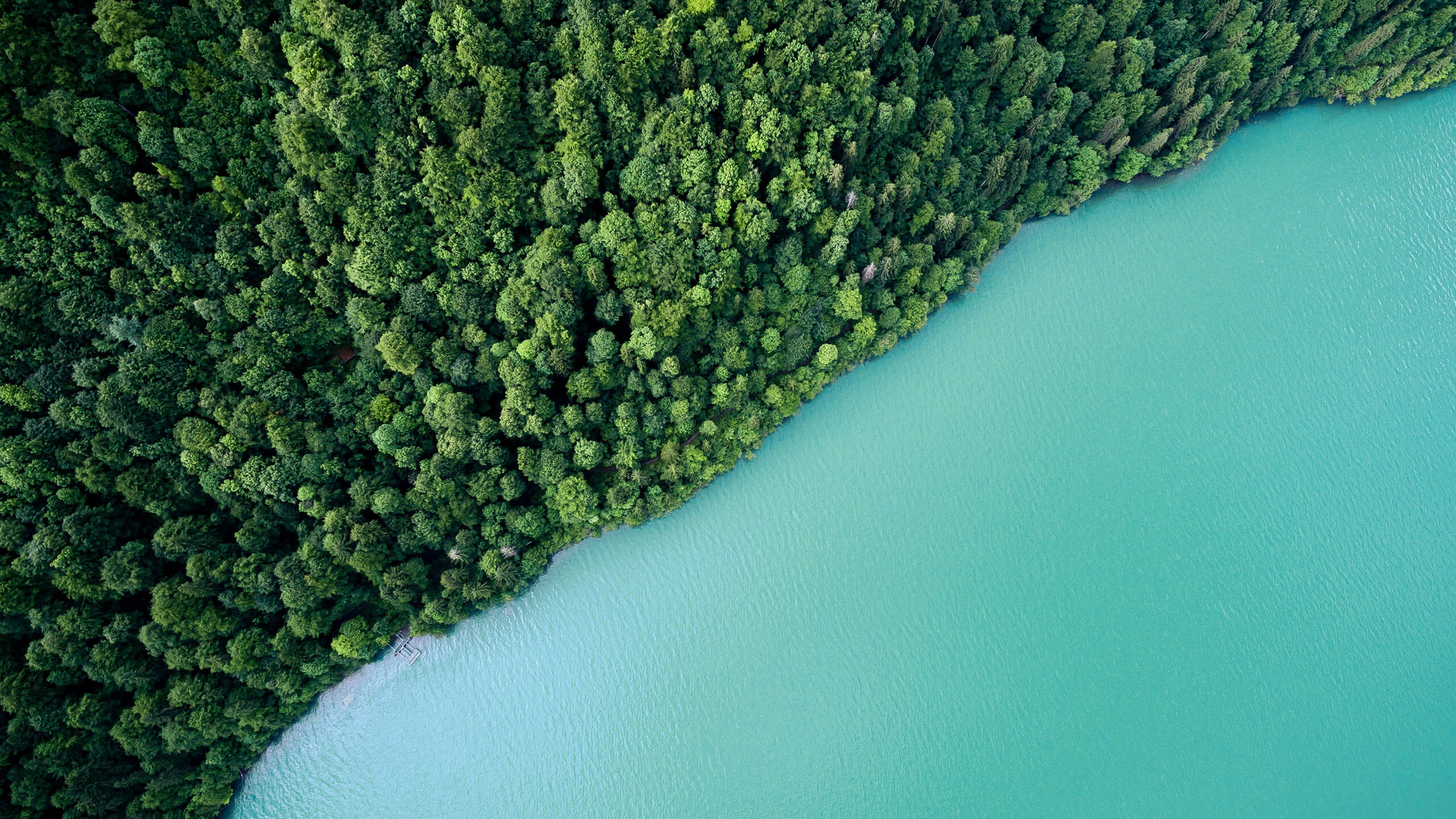 Pyrolyseofen Wald und Wasser